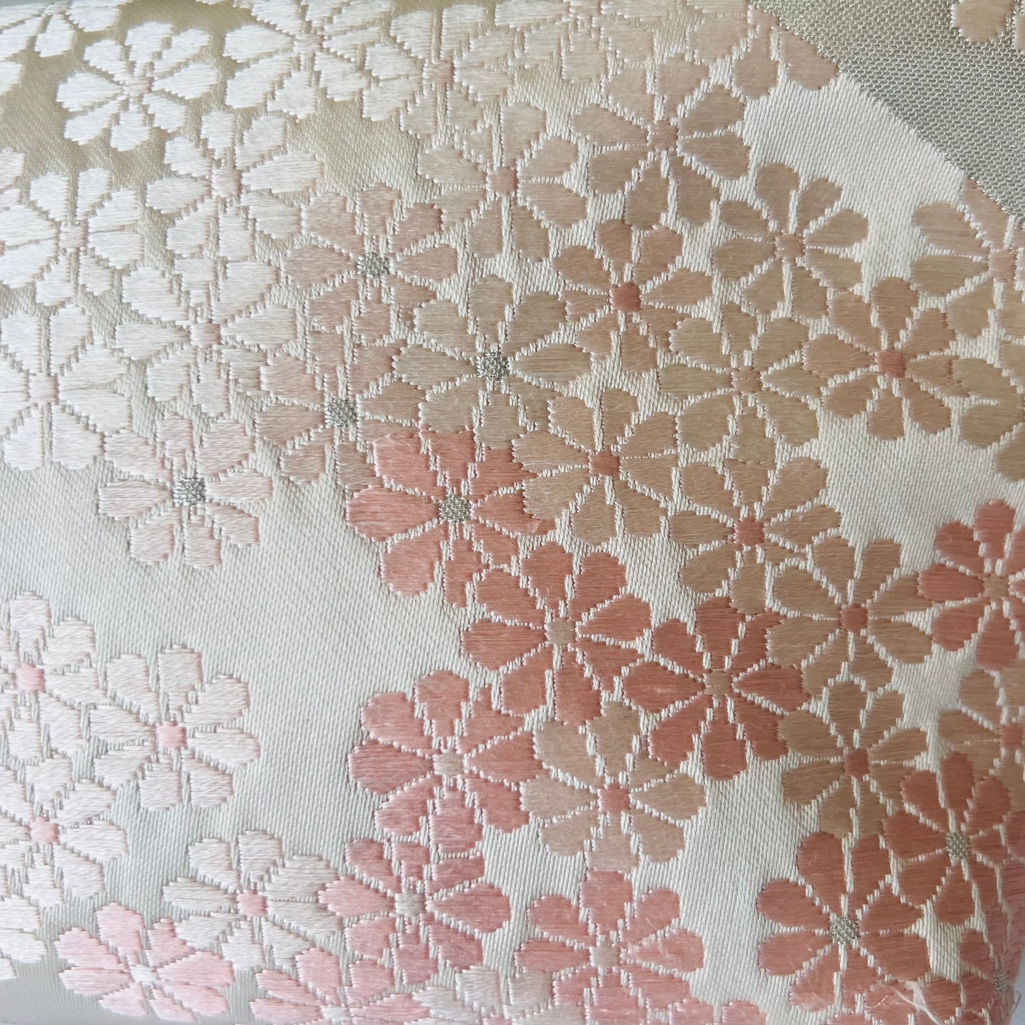 Sakura Camino