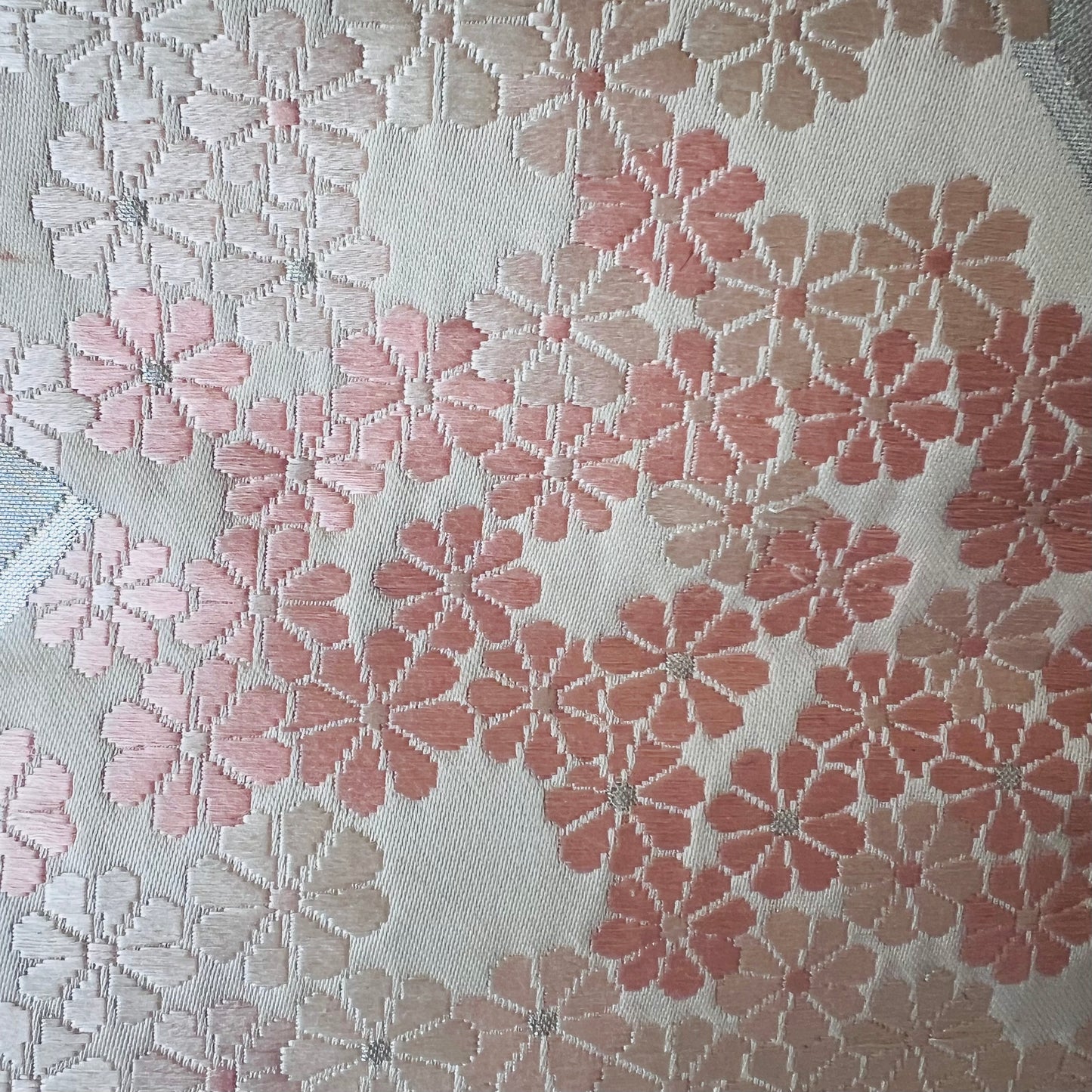 Sakura Camino
